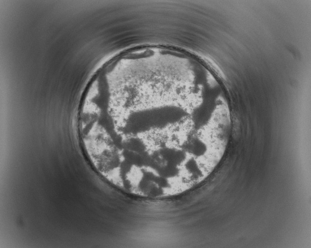 X0000116020895200912312150