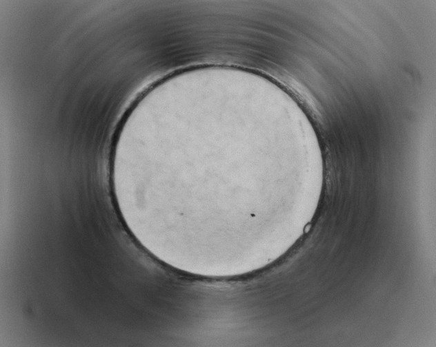 X0000116020896200912312150