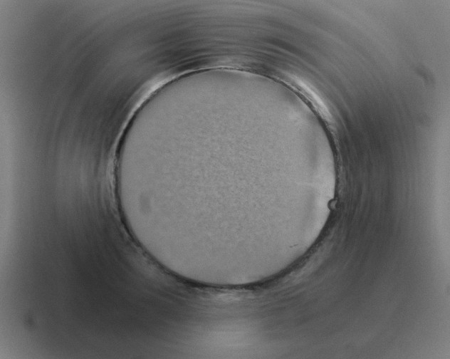 X0000116020899200912312150