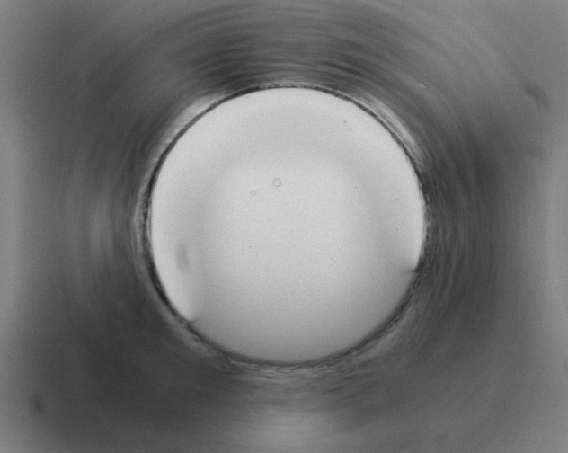 X0000116020901200912312150