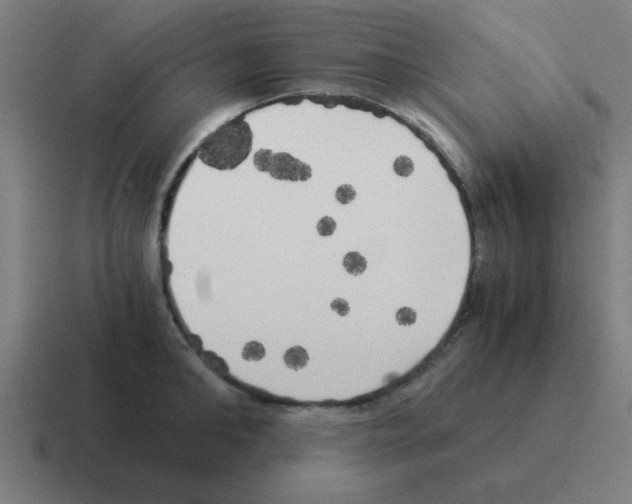 X0000116020902200912312150