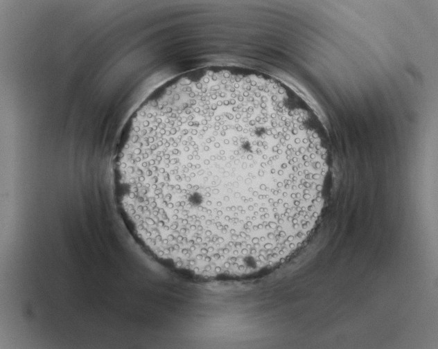 X0000116020906200912312150