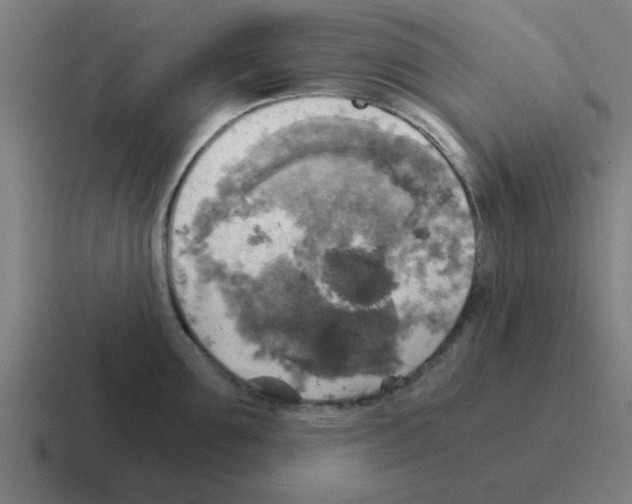 X0000116020907200912312150