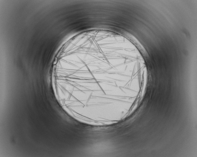 X0000116020908200912312150