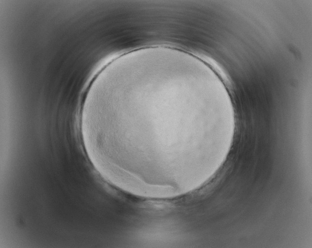 X0000116020910200912312150