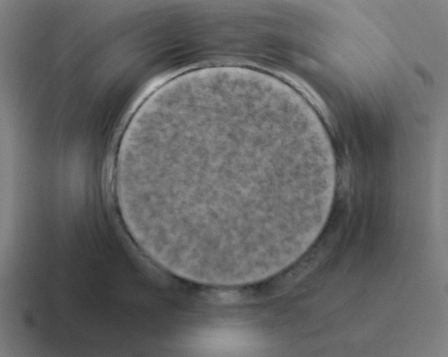 X0000116020911200912312150