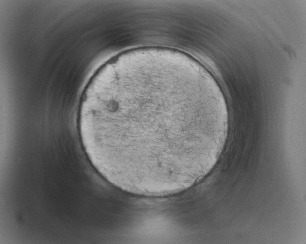 X0000116020912200912312150