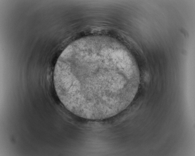 X0000116020914200912312150