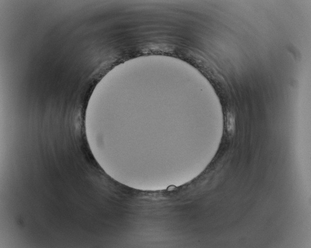 X0000116020915200912312150