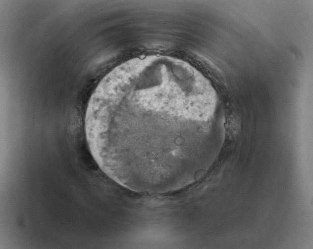 X0000116020917200912312150