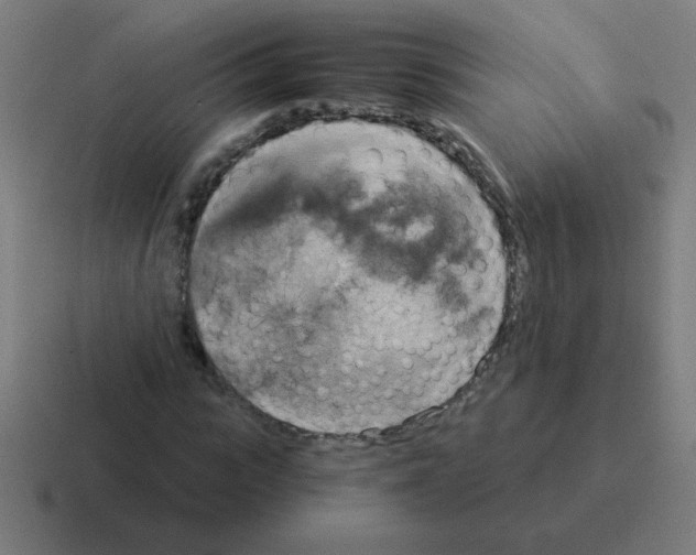 X0000116020919200912312150