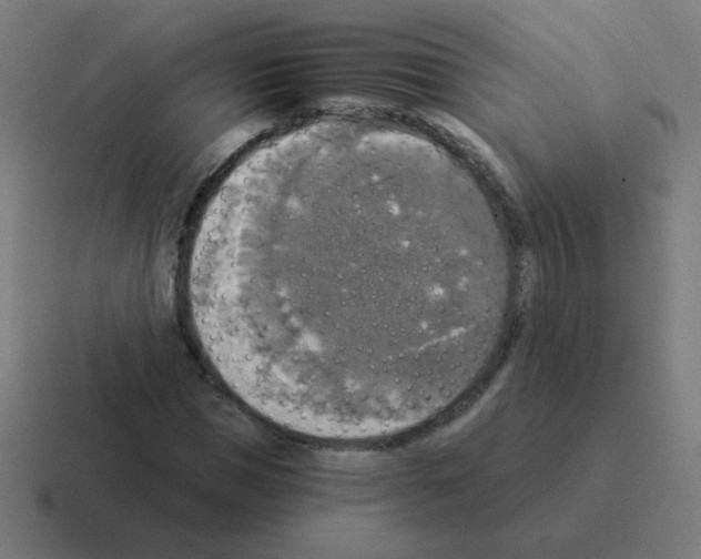 X0000116020921200912312150