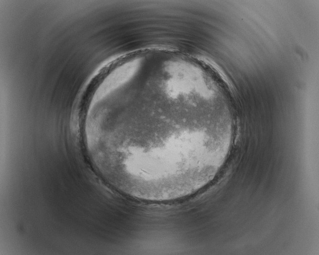 X0000116020923200912312150