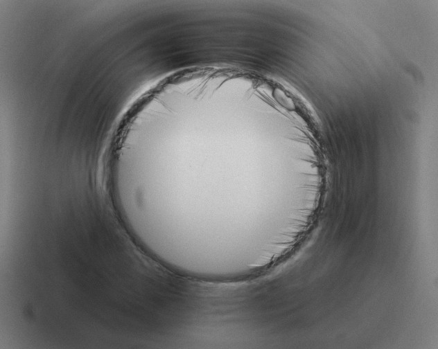 X0000116020925200912312150