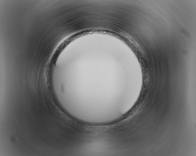 X0000116020926200912312150