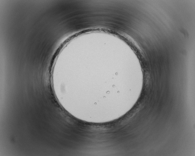 X0000116020927200912312150