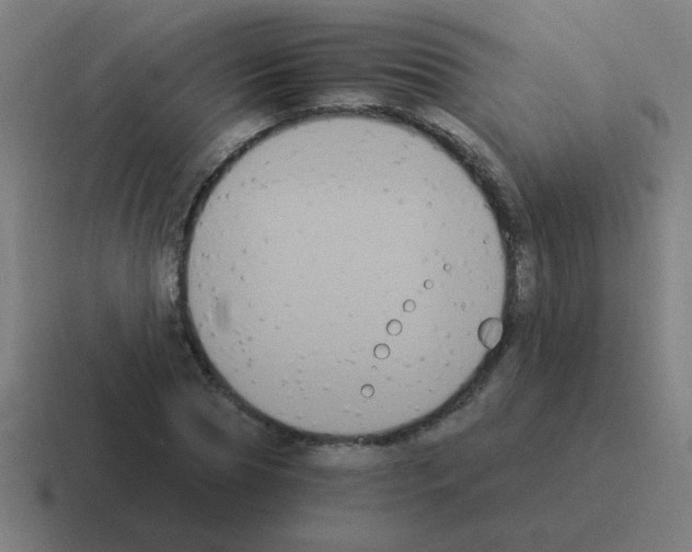 X0000116020929200912312150