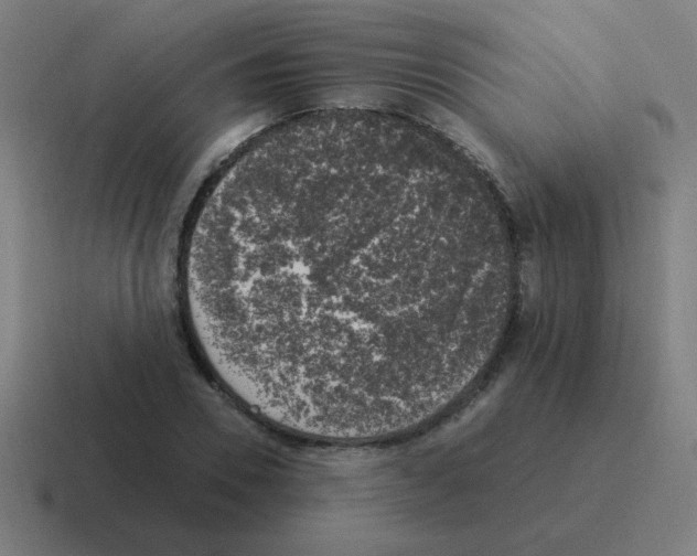 X0000116020930200912312150