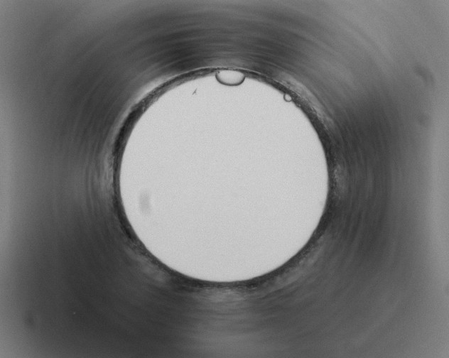 X0000116020931200912312150