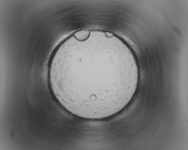 X0000116020933200912312150