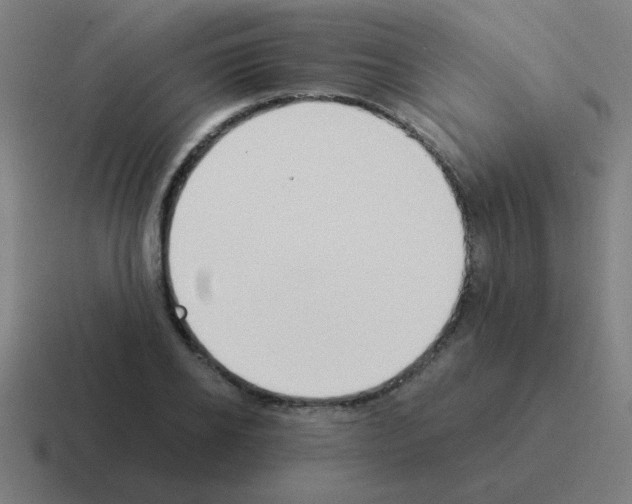 X0000116020934200912312150