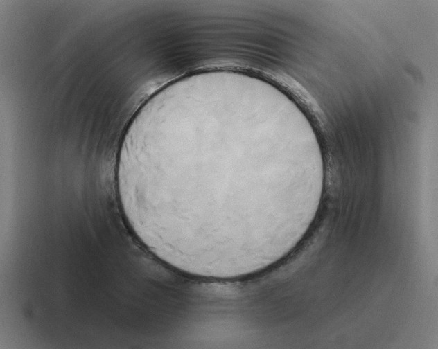 X0000116020937200912312150