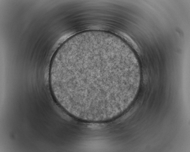 X0000116020938200912312150