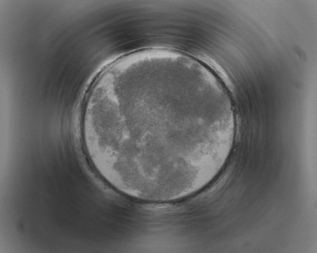 X0000116020939200912312150