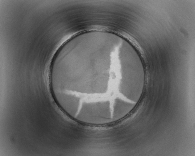 X0000116020941200912312150