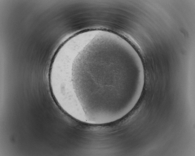 X0000116020943200912312150