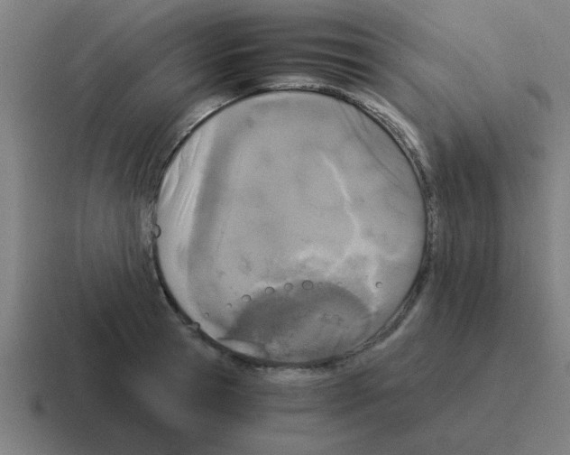 X0000116020945200912312150