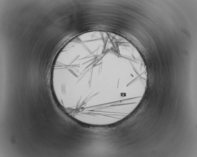 X0000116020946200912312150