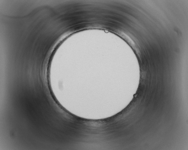 X0000116020947200912312150