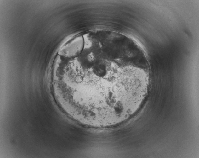 X0000116020949200912312150