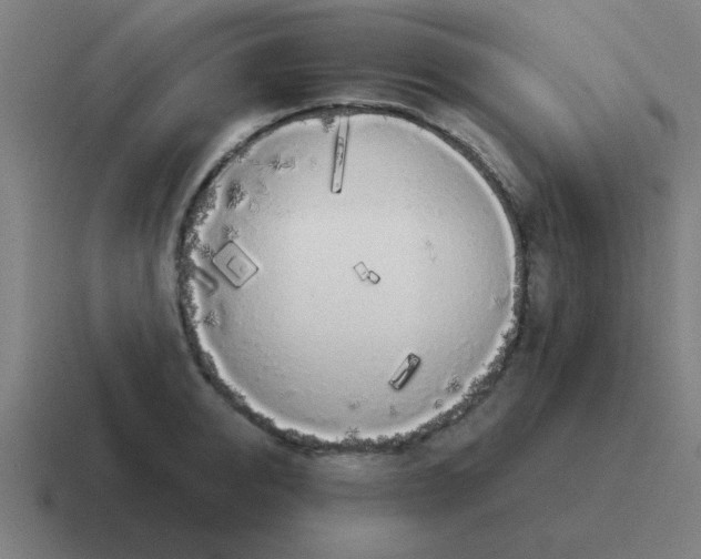 X0000116020950200912312150