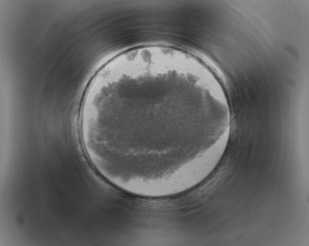 X0000116020951200912312150