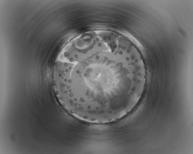 X0000116020953200912312150