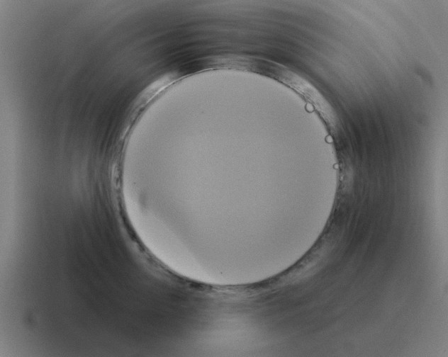 X0000116020954200912312150