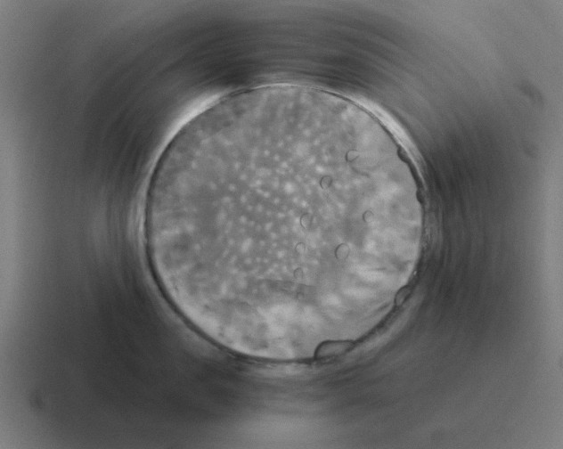 X0000116020957200912312150