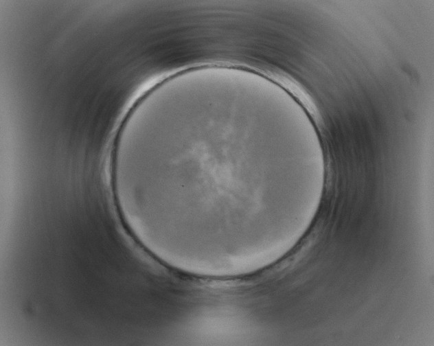 X0000116020958200912312150