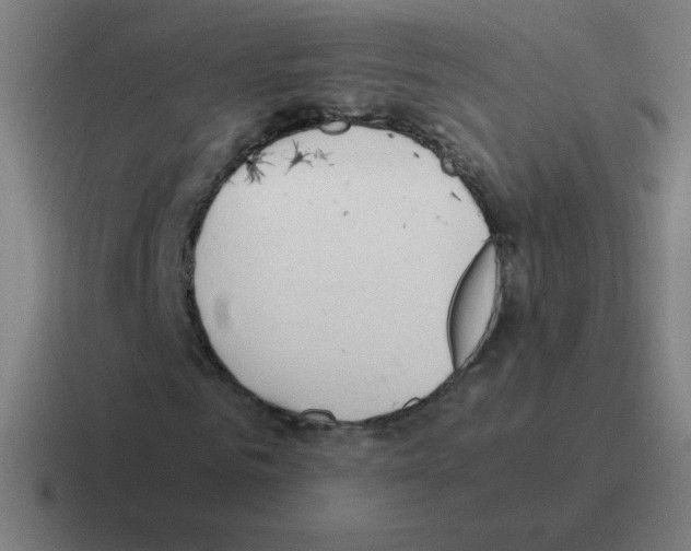 X0000116020961200912312150