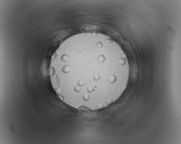 X0000116020962200912312150