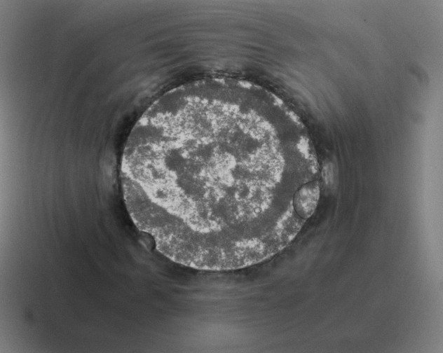 X0000116020963200912312150