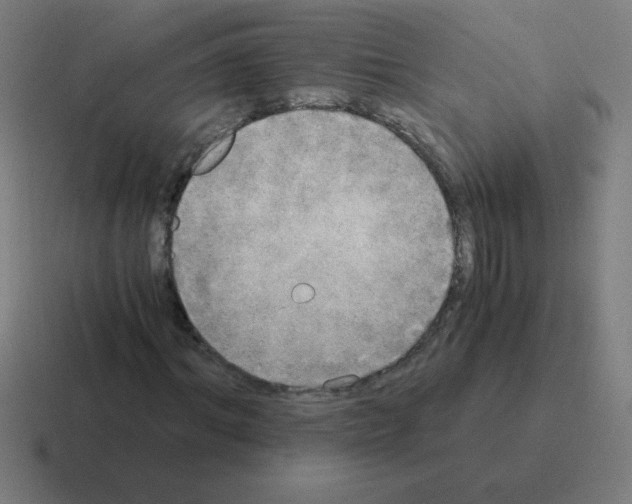 X0000116020964200912312150