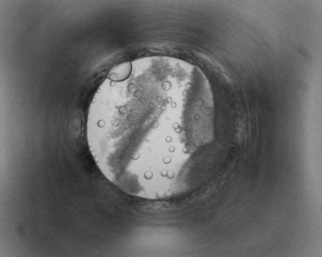 X0000116020966200912312150