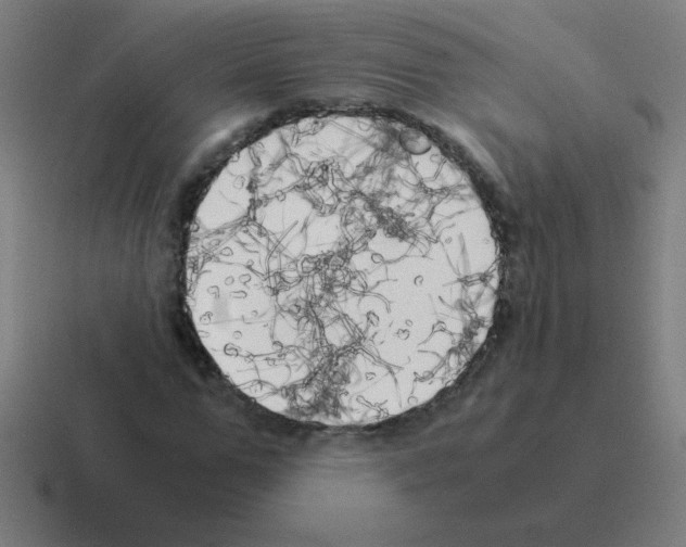 X0000116020967200912312150