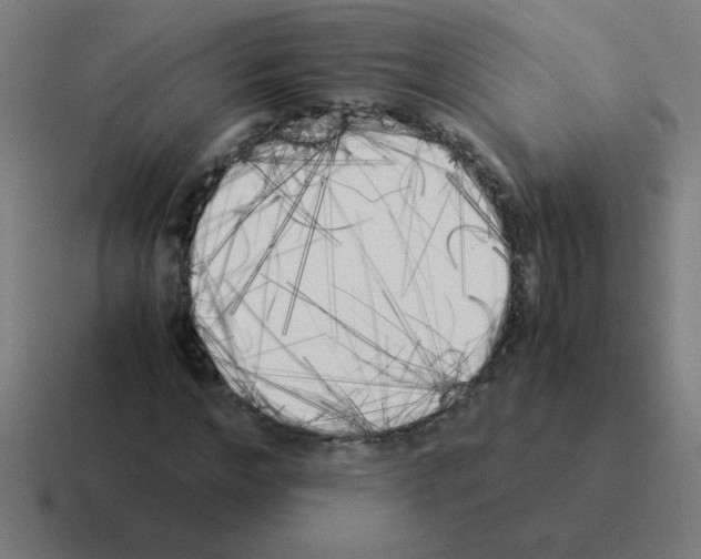 X0000116020968200912312150