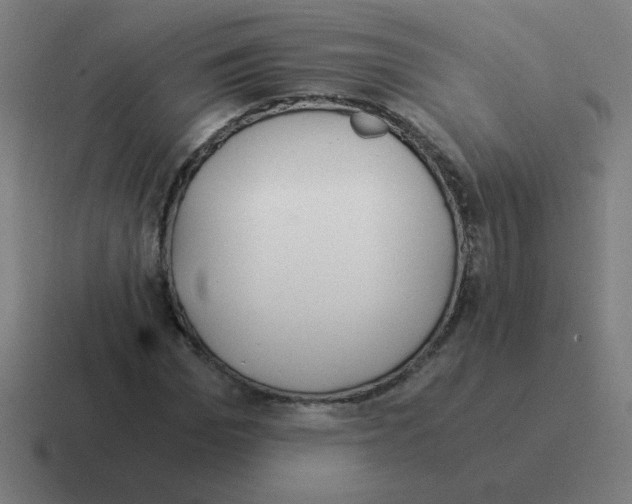 X0000116020969200912312150