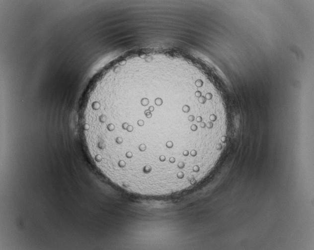 X0000116020970200912312150