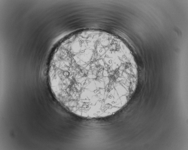 X0000116020971200912312150